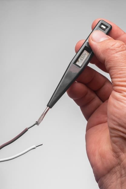 A close-up shot of a food inspector using a digital thermometer to check the internal temperature of cooked meat in a restaurant kitchen. The focus is on the inspector's precision and attention to detail, highlighting the importance of temperature control in preventing foodborne illnesses.