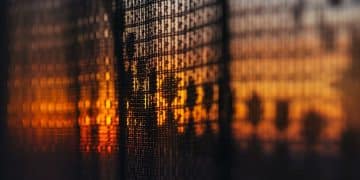 Maximize Fixed Income Returns in 2025: Strategies for Rising Rates - Cover Image