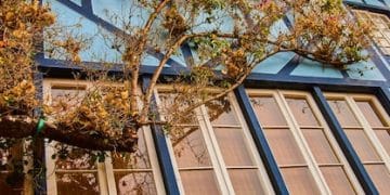 Claim Up to $3,200: Energy-Efficient Home Upgrade Tax Credits 2025 - Cover Image