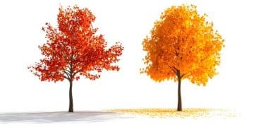 Tax Loss Harvesting: Reduce Your Tax Bill - Cover Image