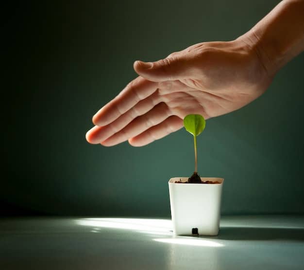 A close-up of hands holding a small plant seedling, symbolizing growth and investment, with a blurred background showing financial charts and graphs.
