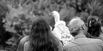 Social Security Survivor Benefits: Eligibility and Claims Guide Social Security Survivor Benefits: Eligibility and Claims Guide - Cover Image