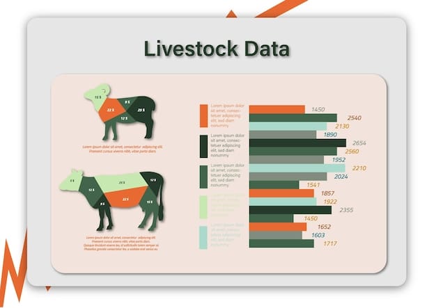 An infographic comparing stocks and bonds side-by-side, highlighting the risk-return spectrum, showing stocks on the high-risk, high-return end and bonds on the low-risk, low-return end. Include simple icons representing key attributes, such as a growing plant for stocks (growth) and a shield for bonds (security).